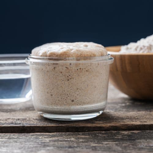 Fermentation Observation