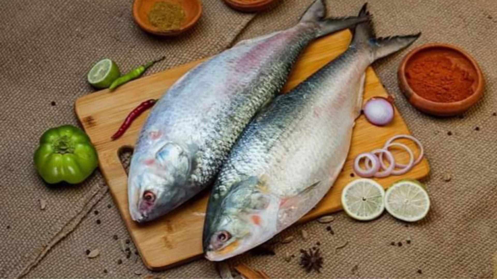 Fish Cooking Confidence learning path - foundation level cooking course