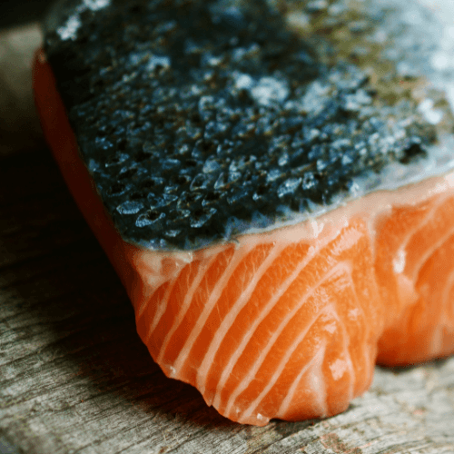 Fish Structure Understanding