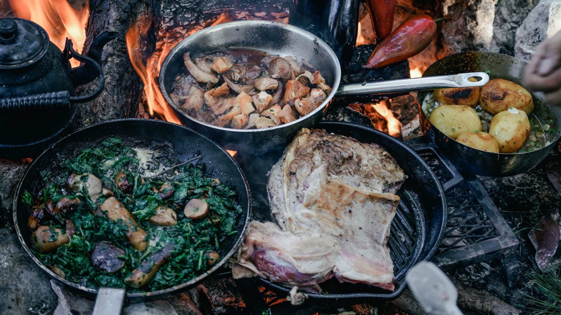 What Is Cooking? The Science Behind Food Transformation - cooking lesson guide