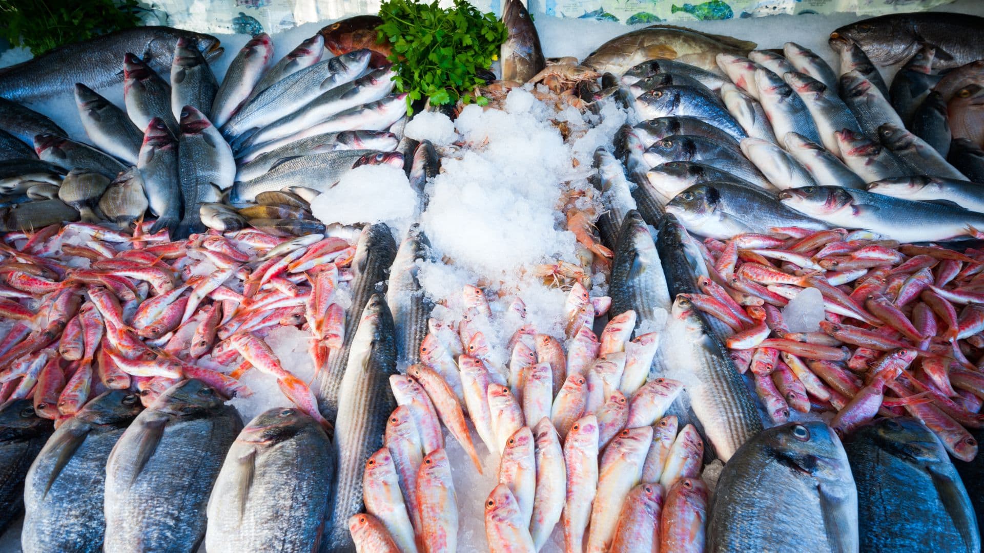 Fish Essentials: Selection to Cooking